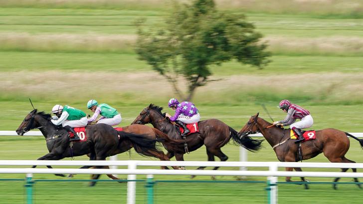 Stewards' Cup Tips: Expect Hurricane Ivor to blow rivals away 